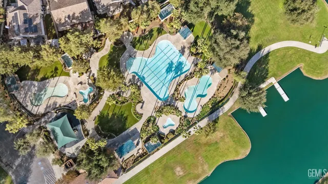 a close up of a plant in a garden