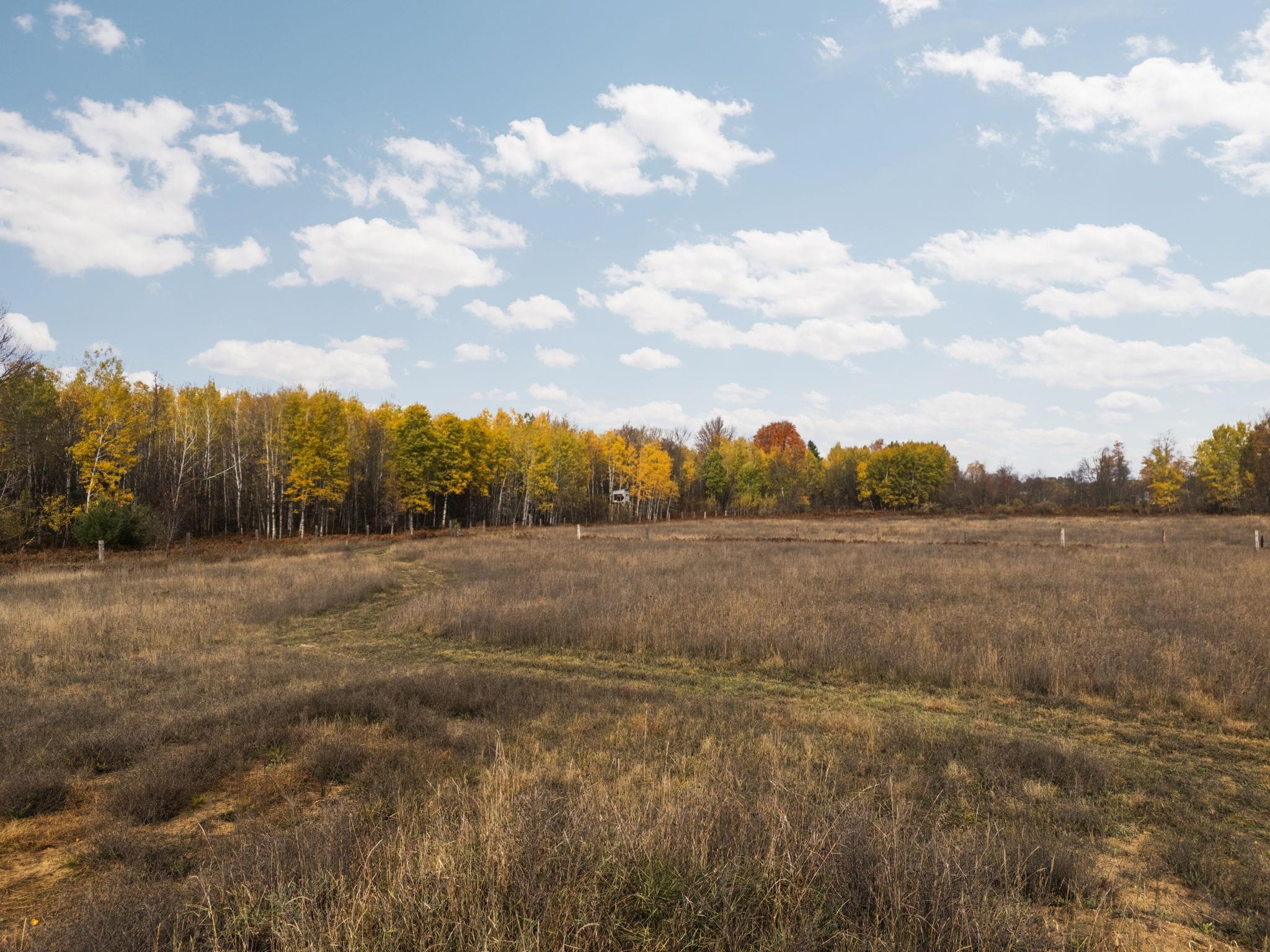 3976 Irvin Road Kingsley, MI 49649 - Photo 53 of 68