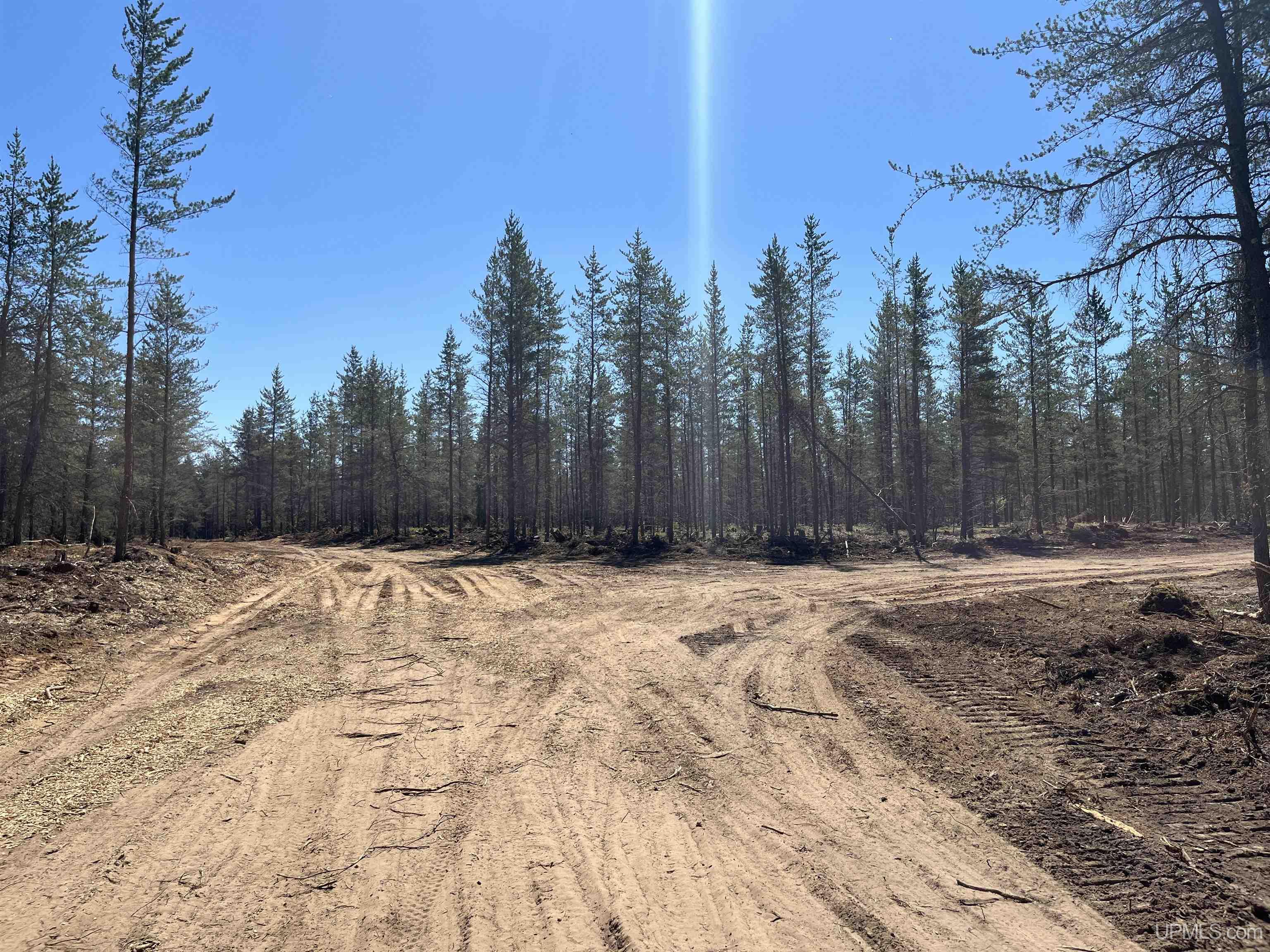 581 County Road 581 Road Ishpeming, MI 49849 - Photo 10 of 30