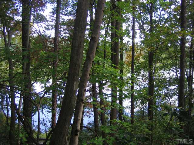 6215 Lookout Loop Raleigh, NC 27612 - Photo 5 of 25 a view of tree