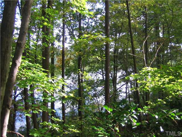 6215 Lookout Loop Raleigh, NC 27612 - Photo 6 of 25 a backyard of a house with lots of trees