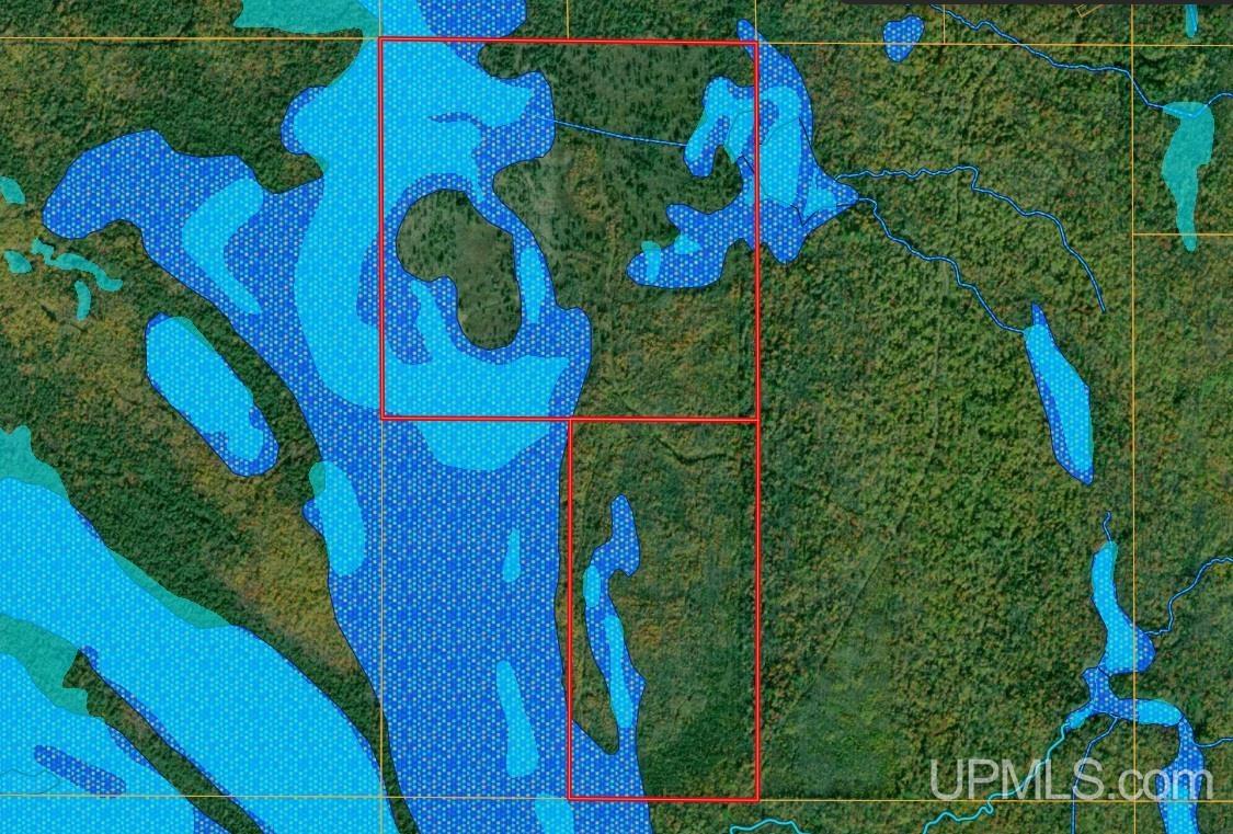 Tbd Billie Helmer Road Deerton, MI 49822 - Photo 17 of 20