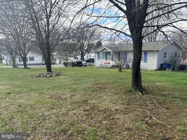 a tree in a yard with a tree