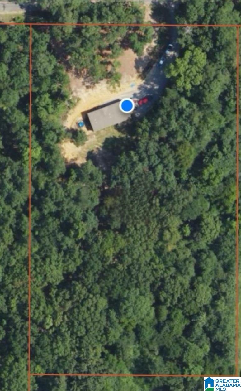 234 Roberts Road Ashville, AL 35953 - Photo 9 of 14