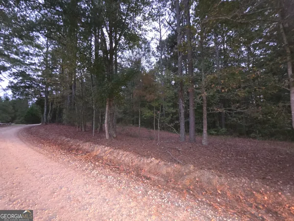 a view of a forest with trees in the background