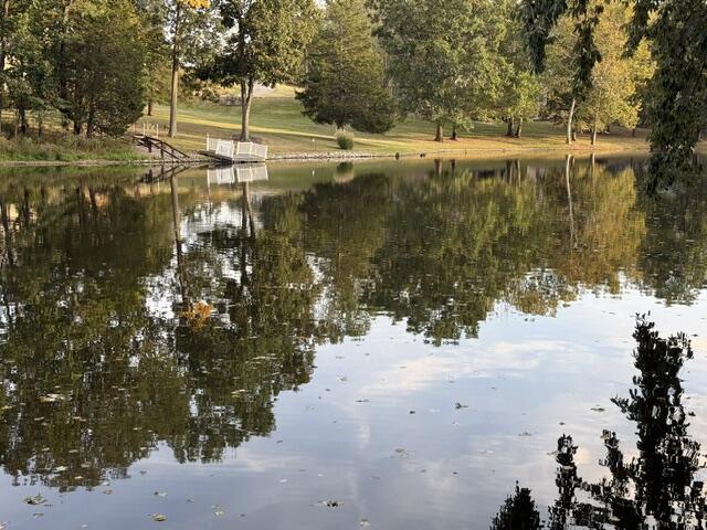 1165 Inverness Road Perry Park, KY 40363 - Photo 39 of 48 IMG_5448