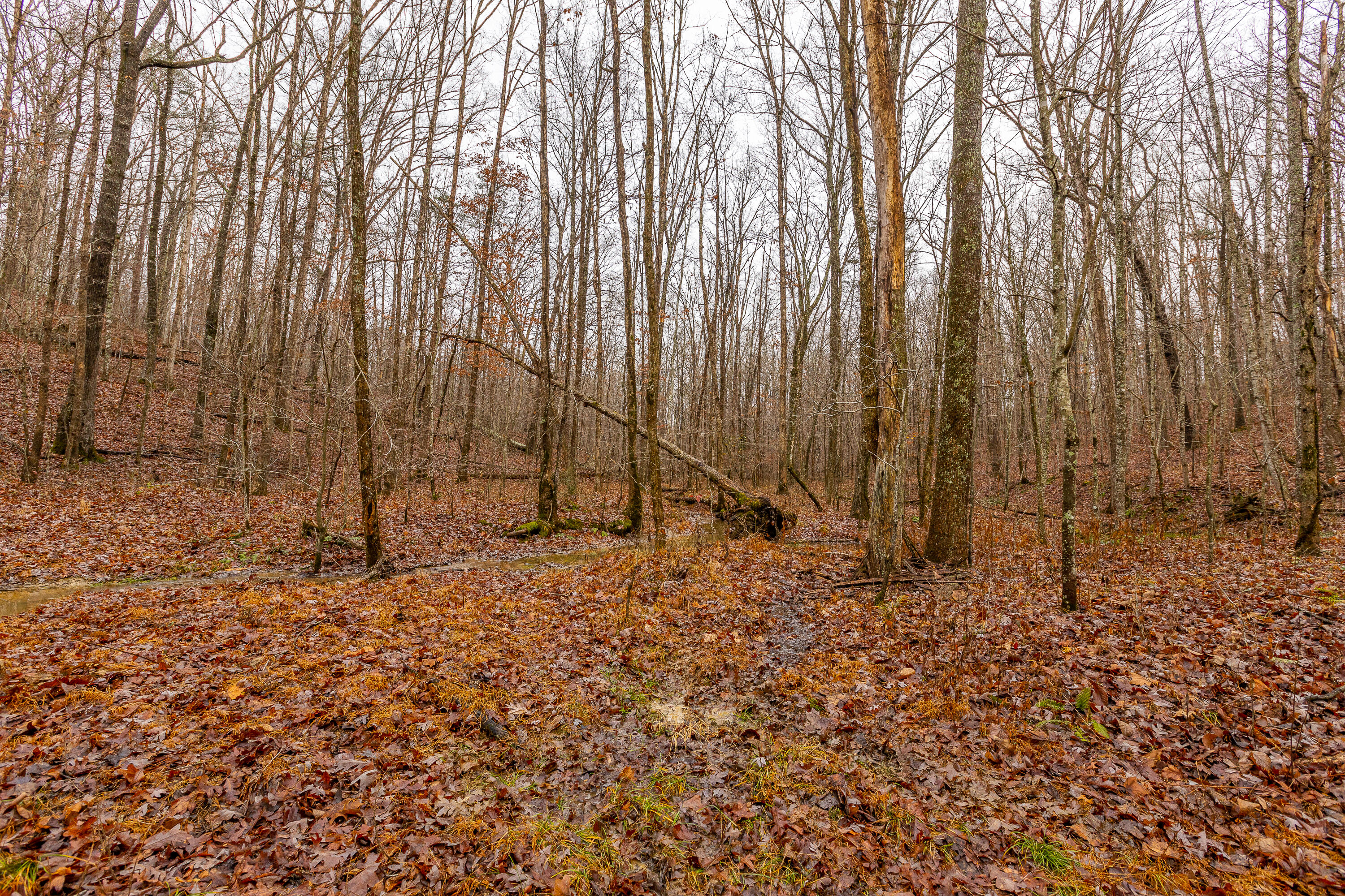 423 Gabbard Road Berea, KY 40403 - Photo 28 of 49 1-27