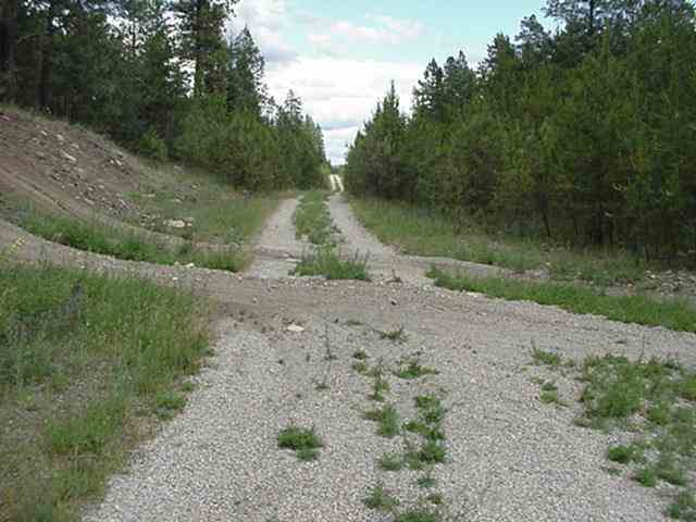 Xx Valley Road Chattaroy, WA 99003 - Photo 1 of 9