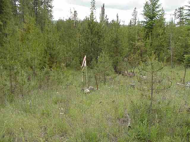 Xx Valley Road Chattaroy, WA 99003 - Photo 3 of 9