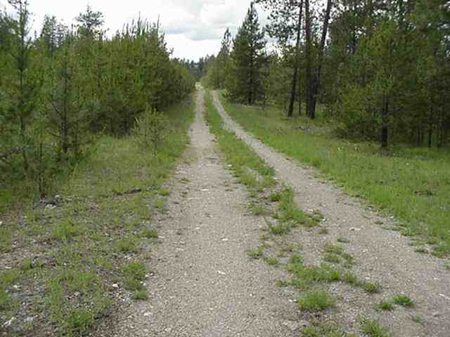 Xx Valley Road Chattaroy, WA 99003 - Photo 4 of 9
