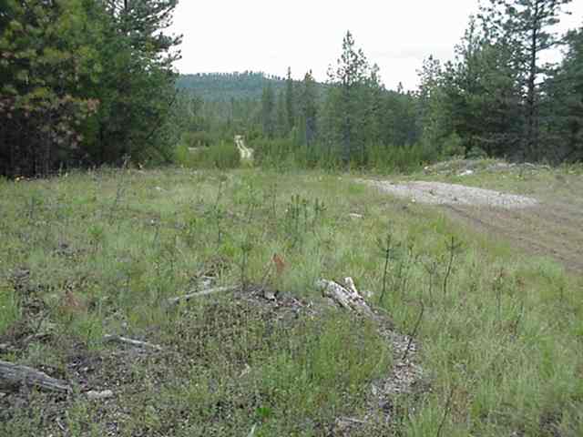 Xx Valley Road Chattaroy, WA 99003 - Photo 7 of 9