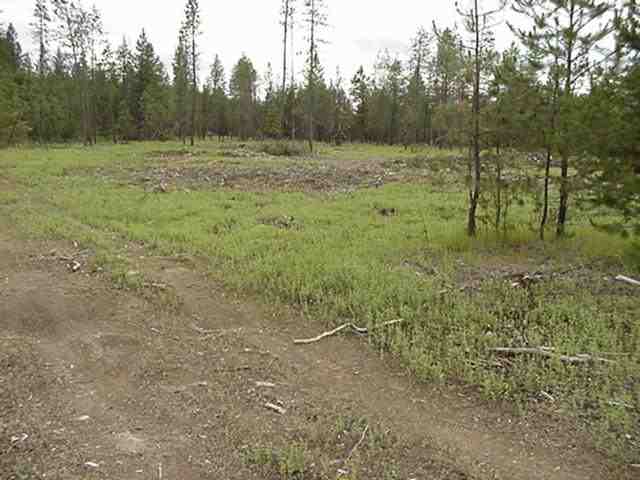 Xx Valley Road Chattaroy, WA 99003 - Photo 8 of 9