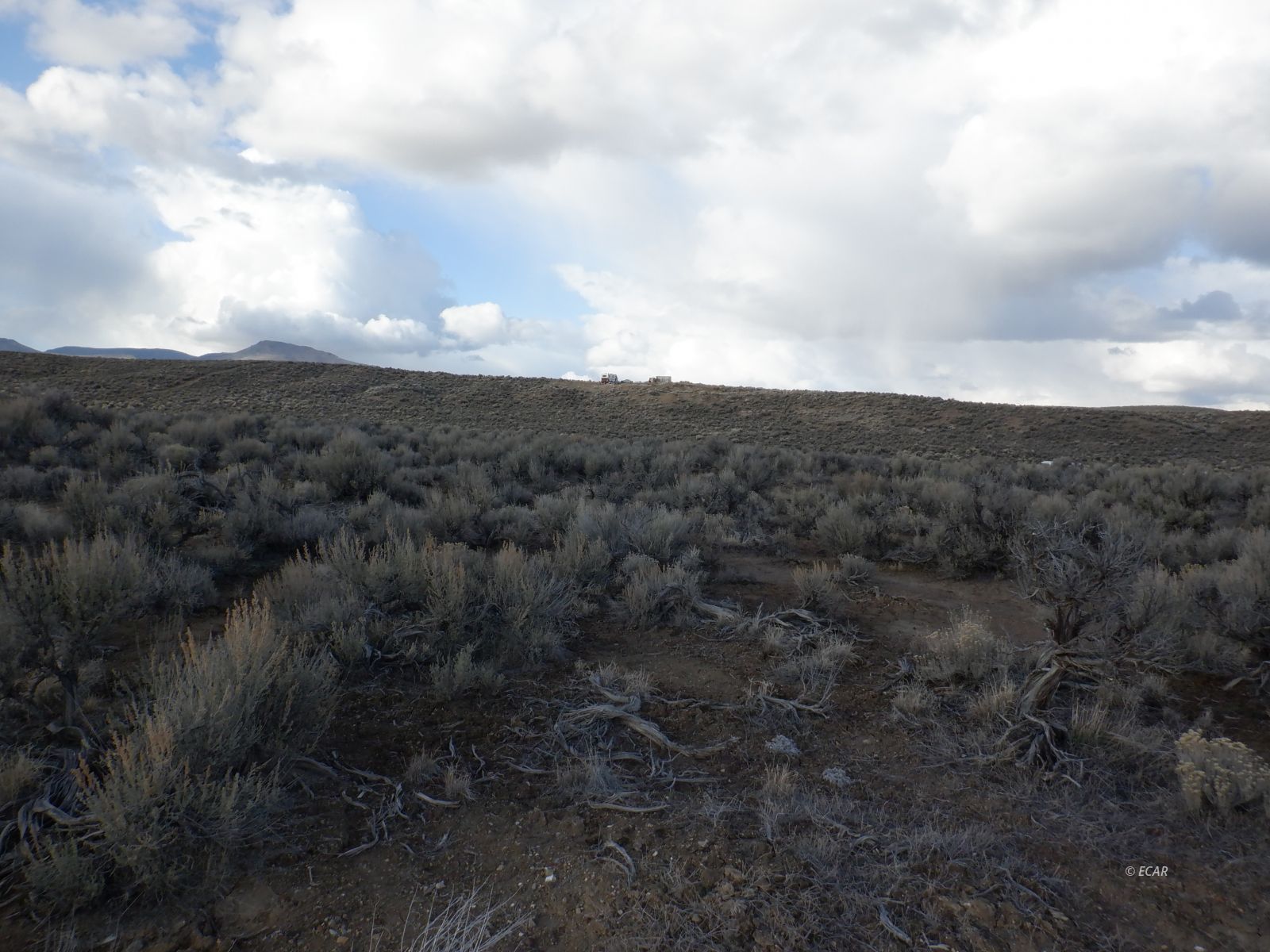 39-3 6th Street, Unit 35/3 Elko, NV 89801 - Photo 6 of 8