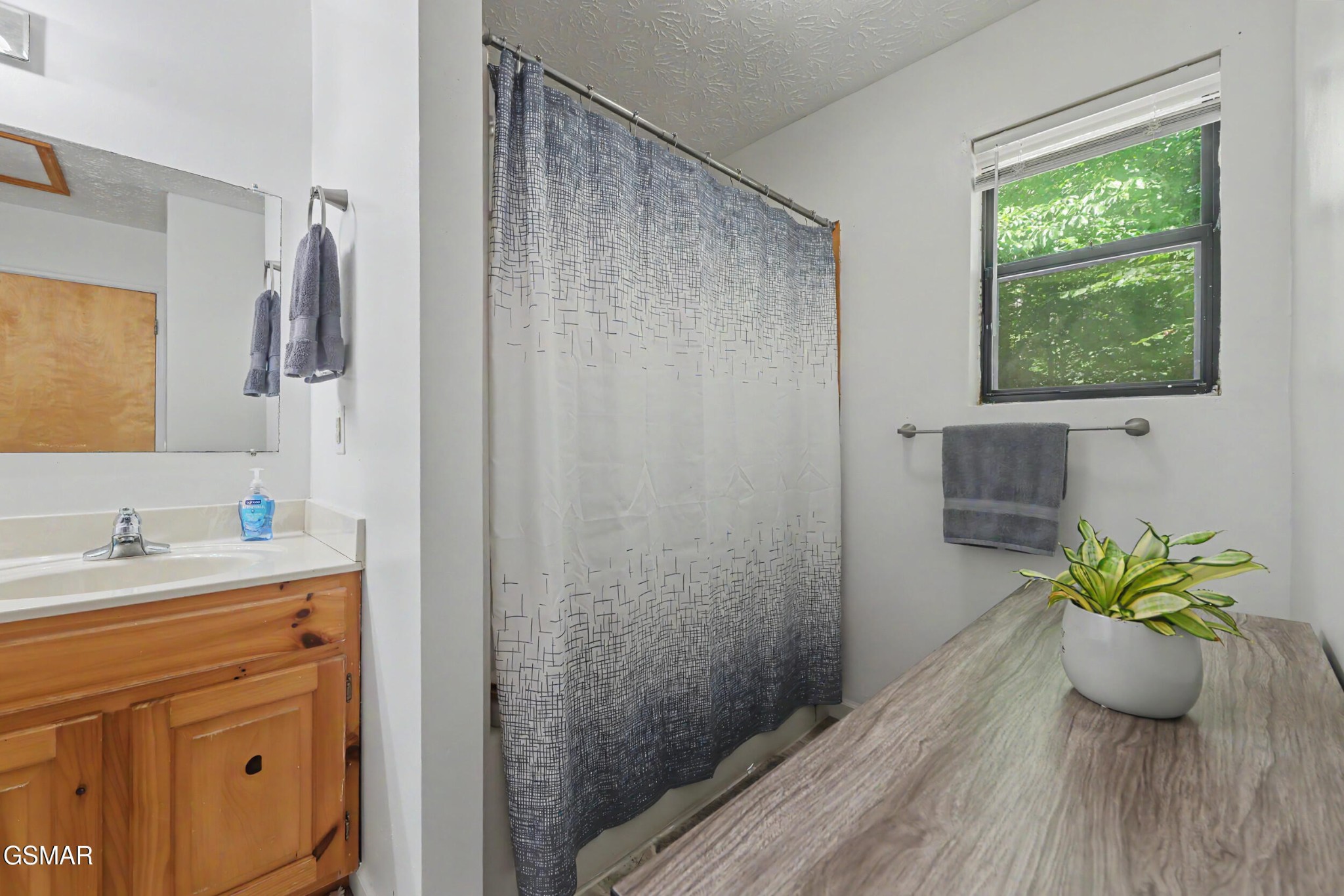 3319 Rocky Ridge Road Cosby, TN 37722 - Photo 16 of 27 Gallery Image 16