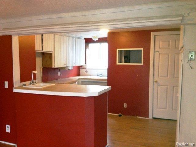 302 Roe Street Plymouth, MI 48170 - Photo 5 of 9 Kitchen1.JPG