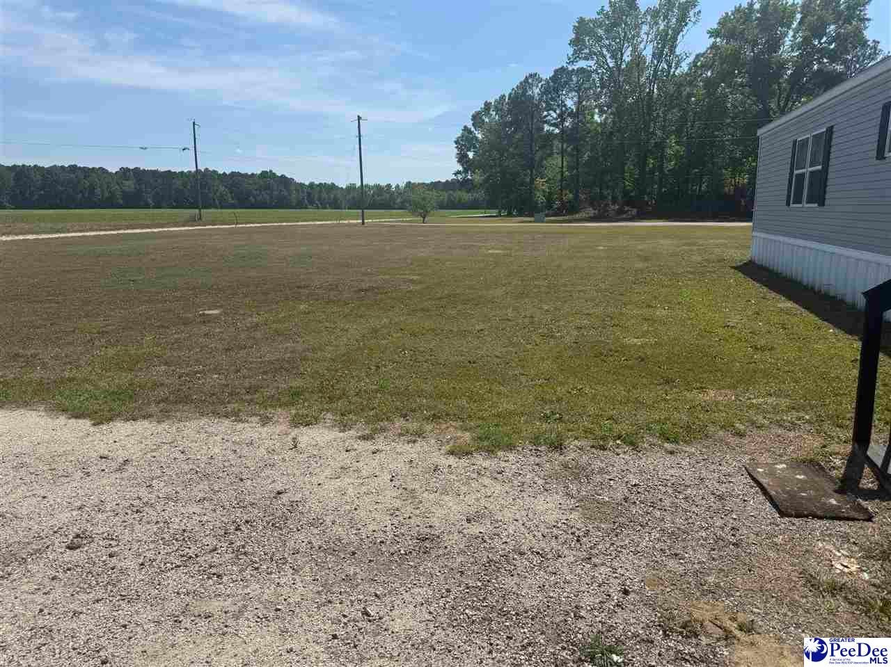 732 Dovefield Road Lamar, SC 29069 - Photo 7 of 23 Gallery Image 7