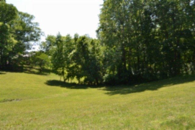 318 Rock Springs Road Celina, TN 38551 - Photo 44 of 87