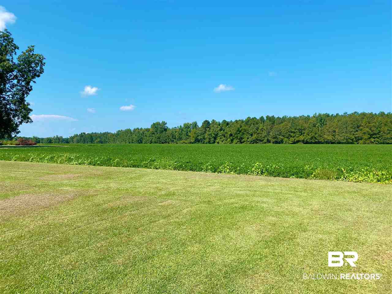 61801 Lottie Road Atmore, AL 36502 - Photo 41 of 46