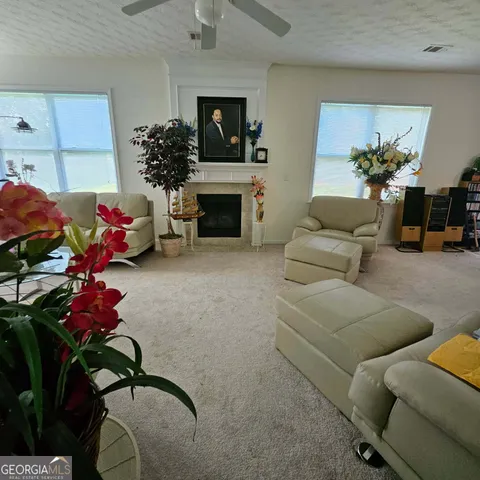 a living room with furniture flowerpot and a fireplace