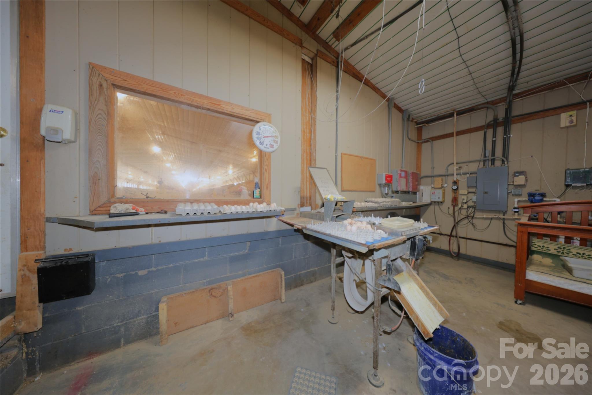 2121 Whitetail Road Blackville, SC 29817 - Photo 18 of 40
