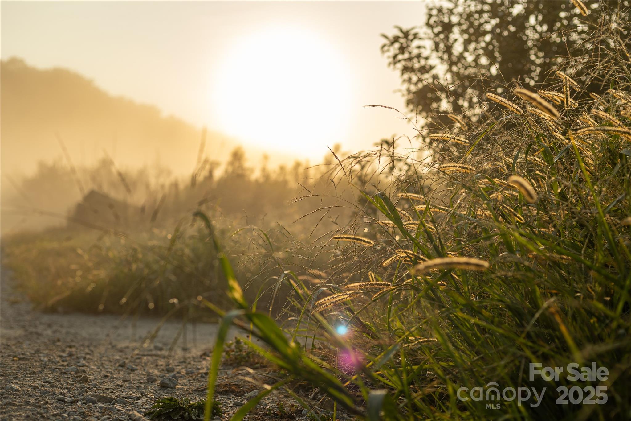 Tbd Old Clear Creek Road Hendersonville, NC 28792 - Photo 11 of 19