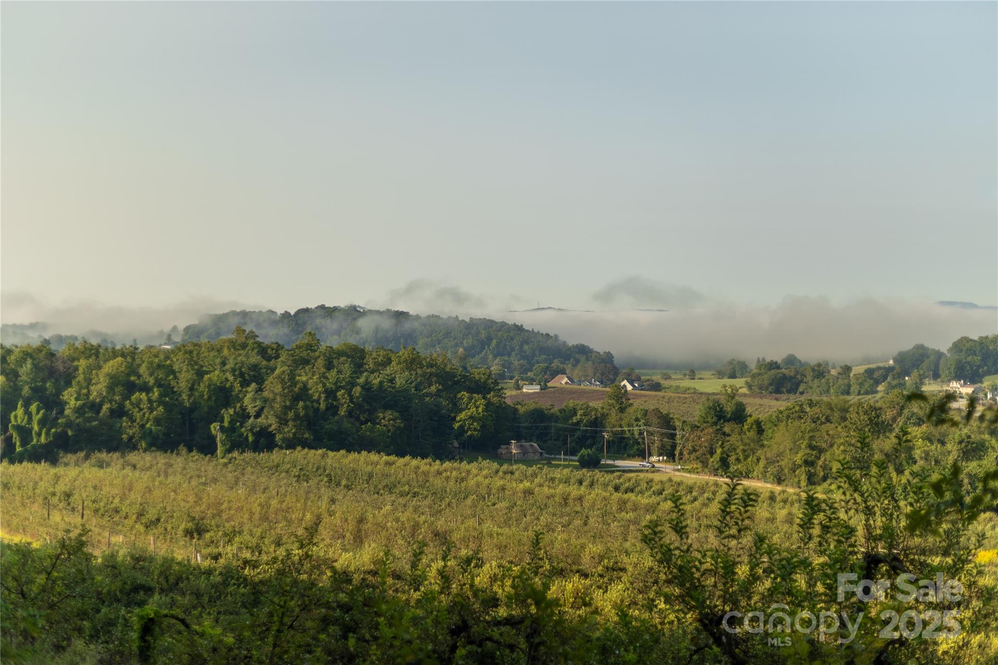 Tbd Old Clear Creek Road Hendersonville, NC 28792 - Photo 13 of 19 a view of a green field