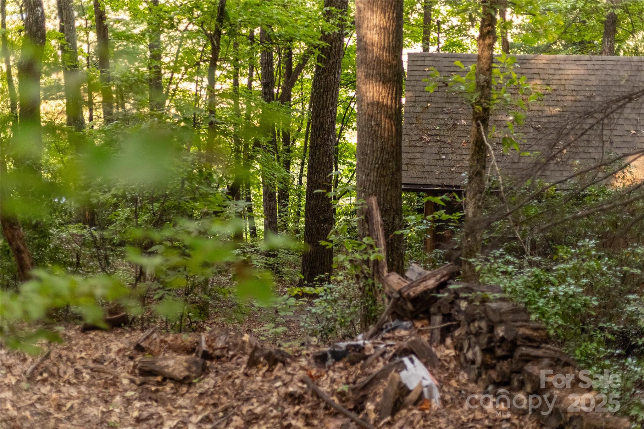 Tbd Old Clear Creek Road Hendersonville, NC 28792 - Photo 15 of 19 a view of outdoor space and garden
