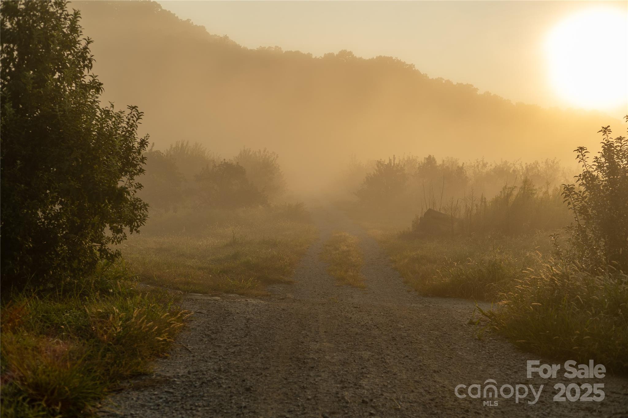Tbd Old Clear Creek Road Hendersonville, NC 28792 - Photo 2 of 19