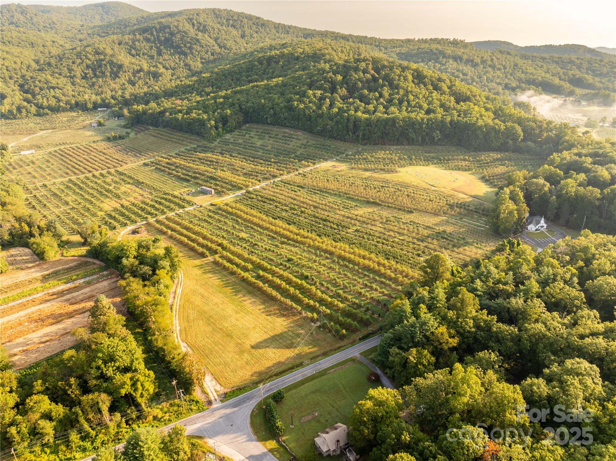 Tbd Old Clear Creek Road Hendersonville, NC 28792 - Photo 3 of 19 a view of an ocean from a mountain