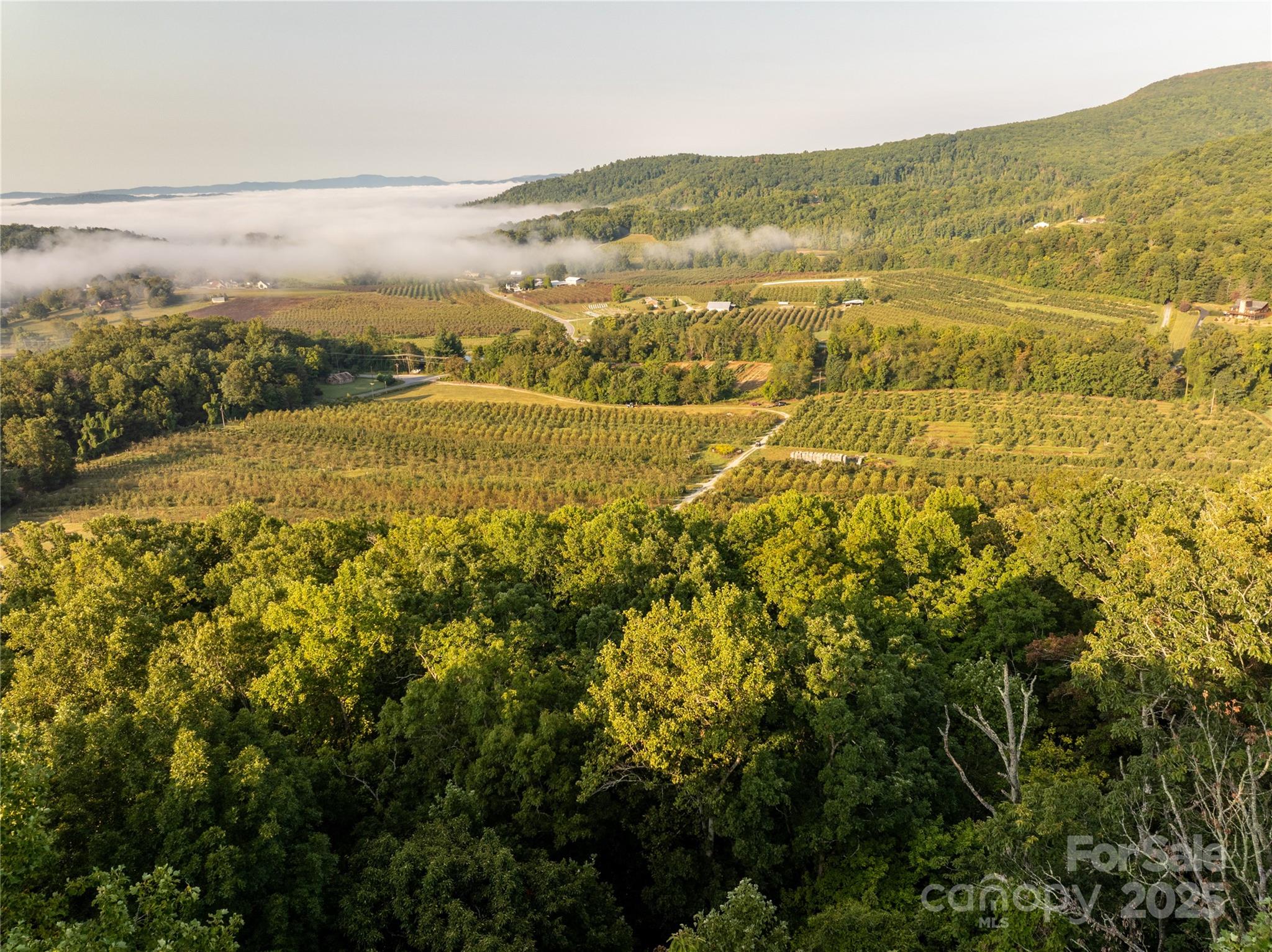 Tbd Old Clear Creek Road Hendersonville, NC 28792 - Photo 5 of 19 a view of an ocean