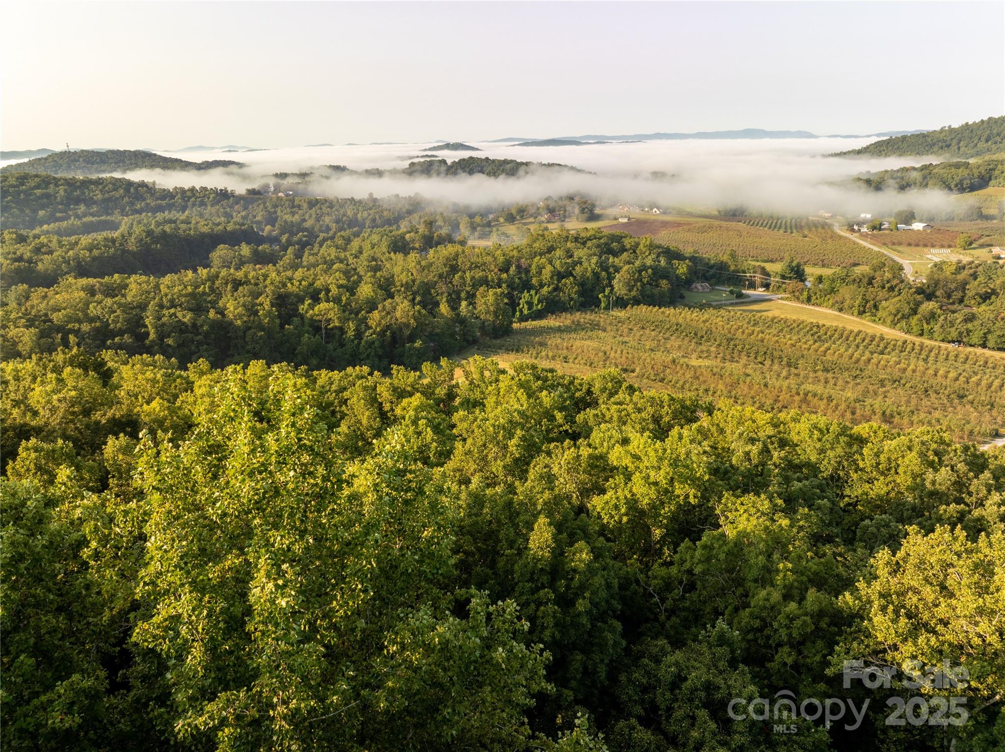 Tbd Old Clear Creek Road Hendersonville, NC 28792 - Photo 6 of 19 a view of lake with mountain