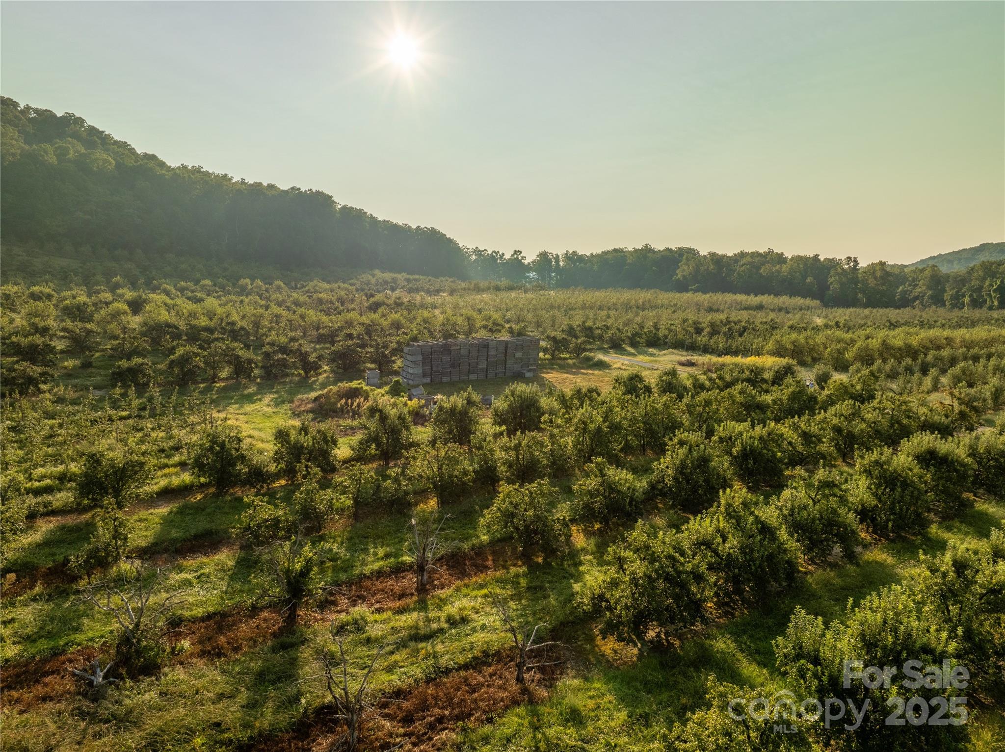 Tbd Old Clear Creek Road Hendersonville, NC 28792 - Photo 8 of 19 a view of lake and mountain