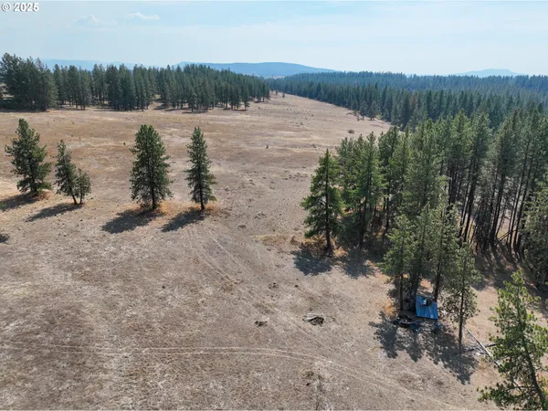 $250,000 | 0 Wheeler Lane, Elgin, OR 97827