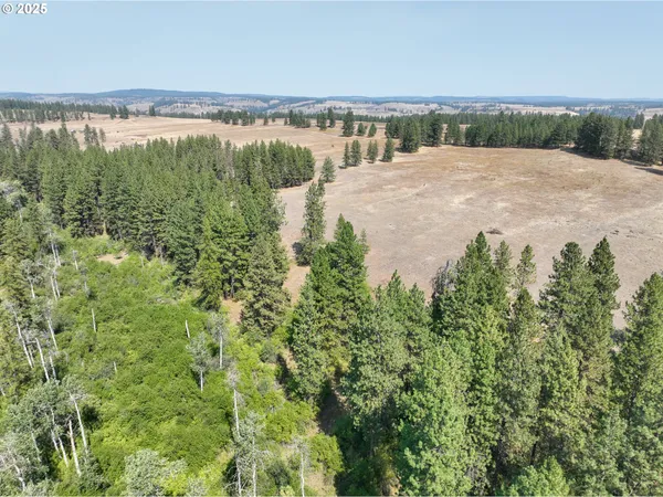 $250,000 | 0 Wheeler Lane, Elgin, OR 97827