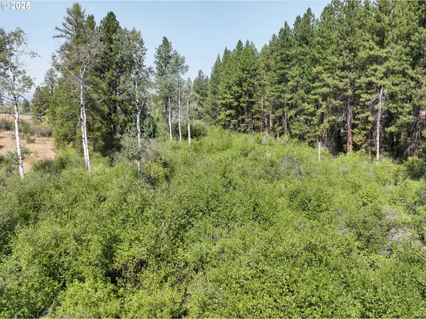 $250,000 | 0 Wheeler Lane, Elgin, OR 97827
