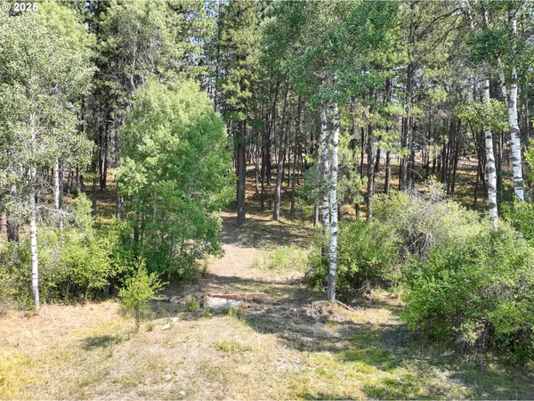 $250,000 | 0 Wheeler Lane, Elgin, OR 97827