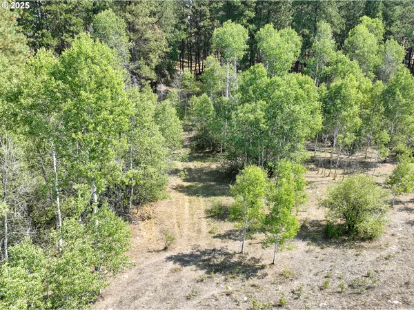 $250,000 | 0 Wheeler Lane, Elgin, OR 97827