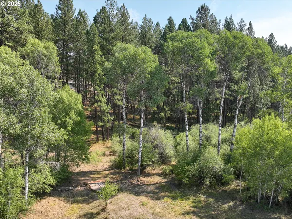 $250,000 | 0 Wheeler Lane, Elgin, OR 97827