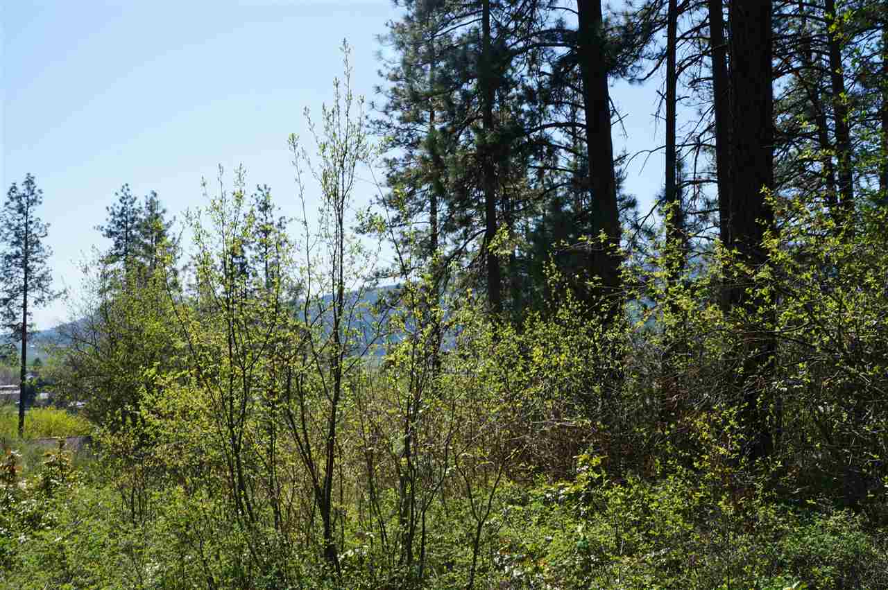 700 North Ridge Street Chewelah, WA 99109 - Photo 3 of 5 Gallery Image 3