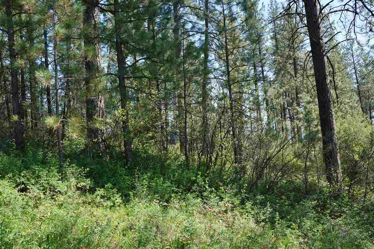 700 North Ridge Street Chewelah, WA 99109 - Photo 4 of 5 Gallery Image 4