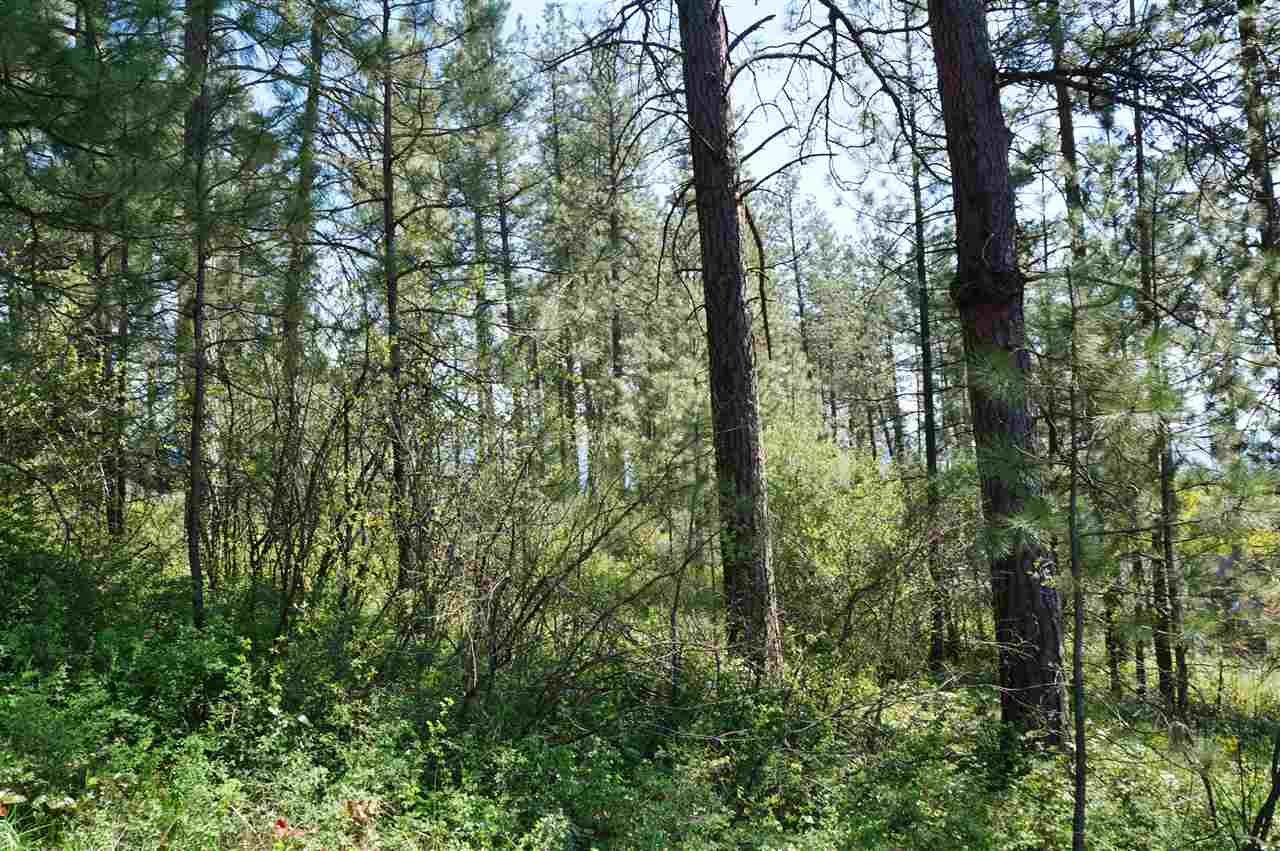 700 North Ridge Street Chewelah, WA 99109 - Photo 5 of 5 Gallery Image 5