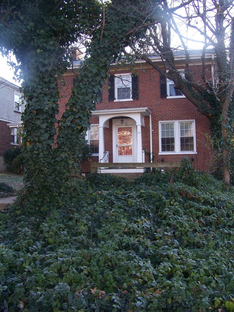 1712 Arlington Road Southwest Roanoke, VA 24015 - Photo 2 of 54 English Ivy in the front