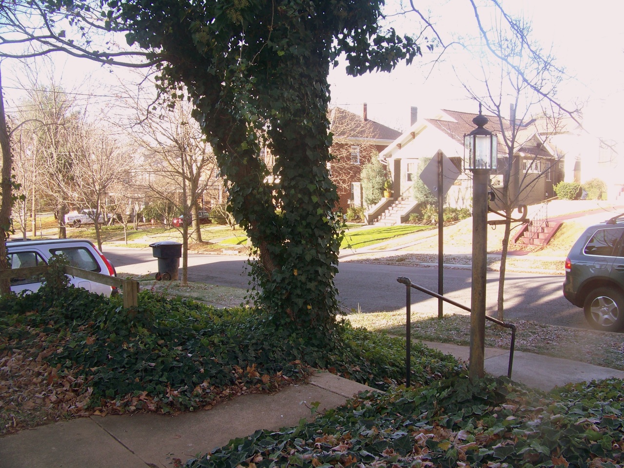 1712 Arlington Road Southwest Roanoke, VA 24015 - Photo 3 of 54 Street view