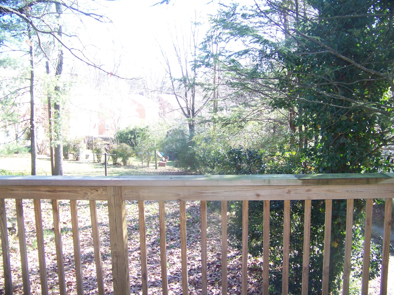 1712 Arlington Road Southwest Roanoke, VA 24015 - Photo 44 of 54 Backyard