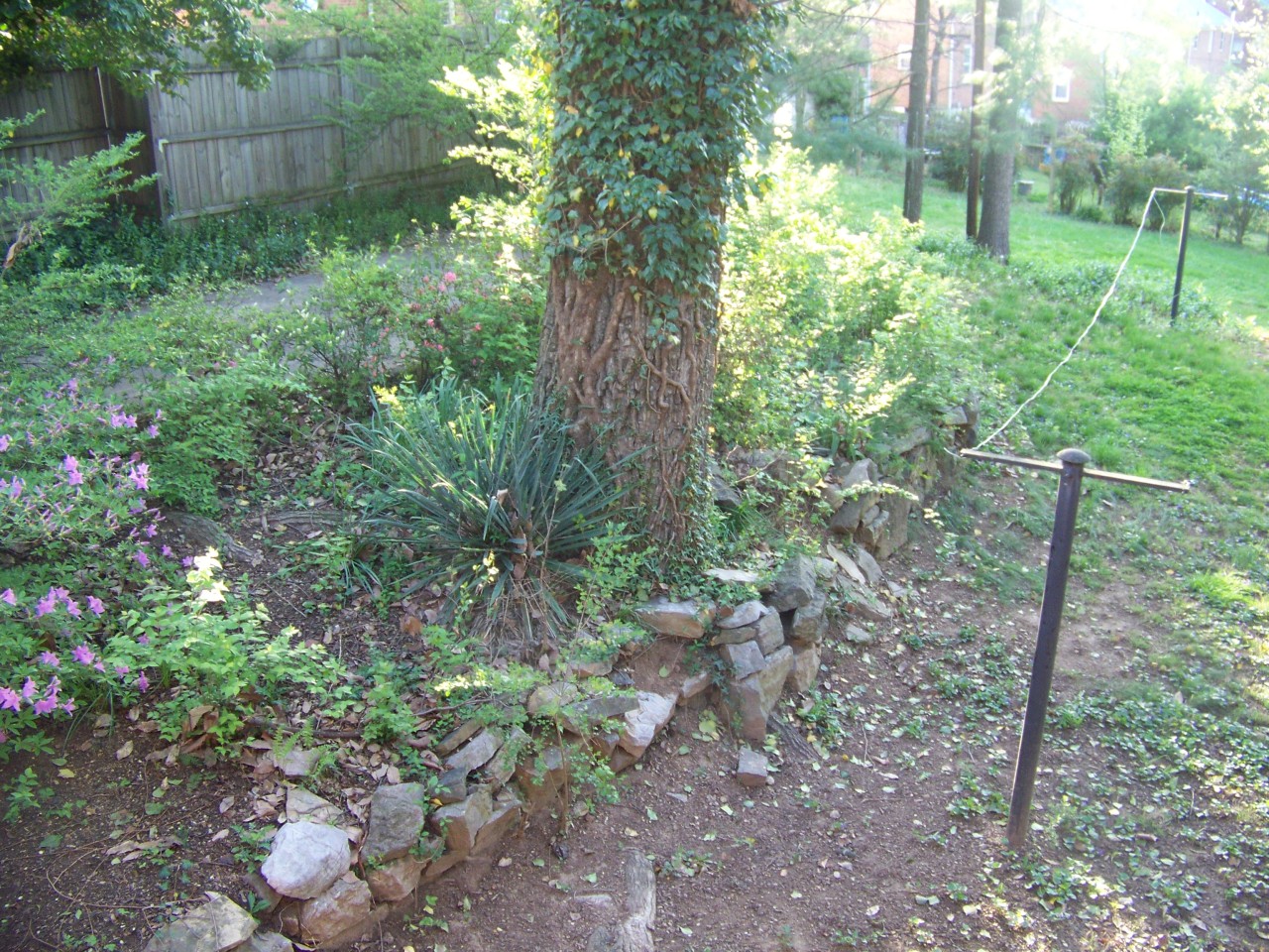 1712 Arlington Road Southwest Roanoke, VA 24015 - Photo 49 of 54 Backyard