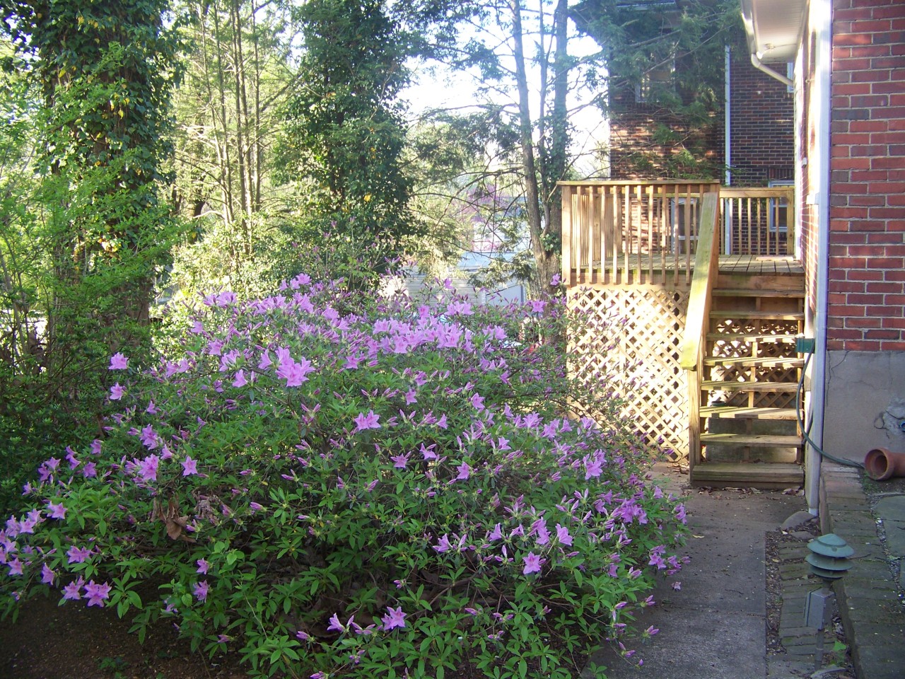 1712 Arlington Road Southwest Roanoke, VA 24015 - Photo 52 of 54 Deck on rear