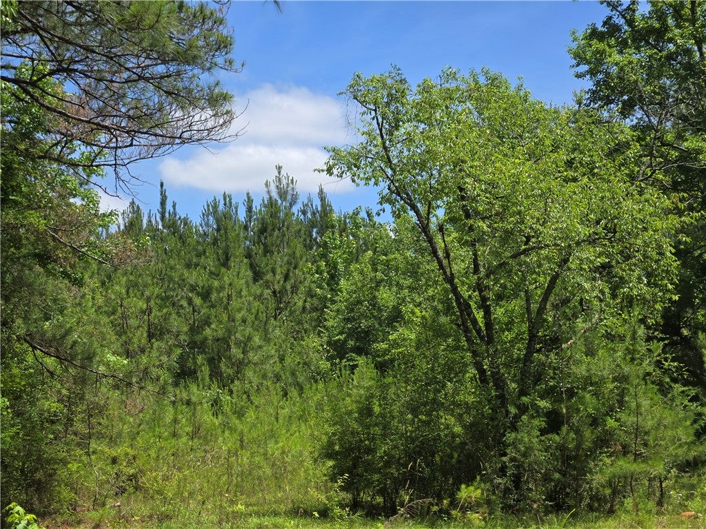 0 Wire Road Tallassee, AL 36078 - Photo 1 of 1 Gallery Image 1