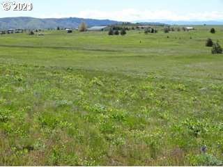 11 Rathod Road Lyle, WA 98635 - Photo 11 of 15 Gallery Image 11
