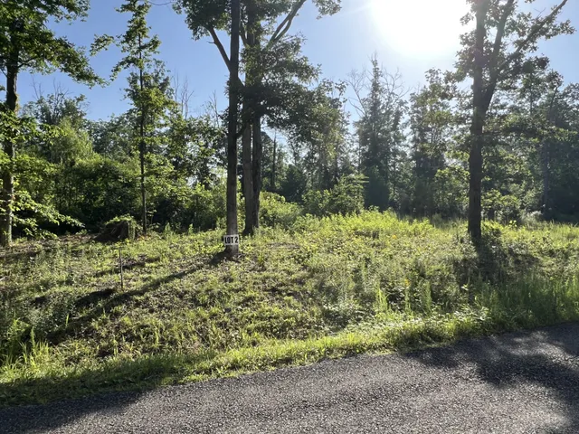 a view of a yard with plants and a bench