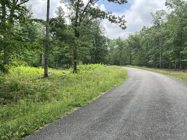 $299,000 | 0 Slaughter Road, Primm Springs, TN 38476